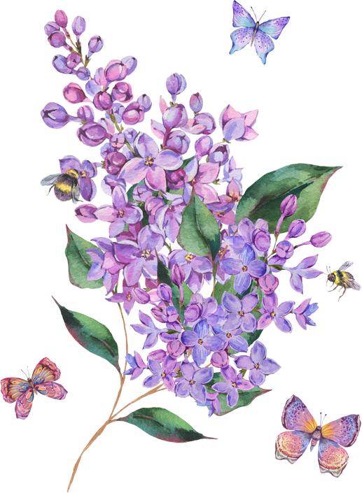 Watercolor lilac flowers, butterfly
