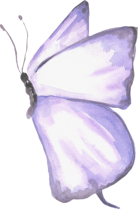 Watercolor Butterfly Insect